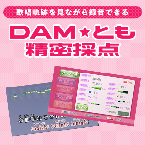 DAM★�Ƃ������̓_