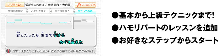 ●基本から上級テクニックまで！ ●ハモリパートのレッスンを追加 ●お好きなステップからスタート