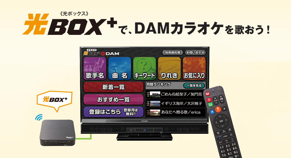 光box でdamカラオケを歌おう 光カラオケbox Dam