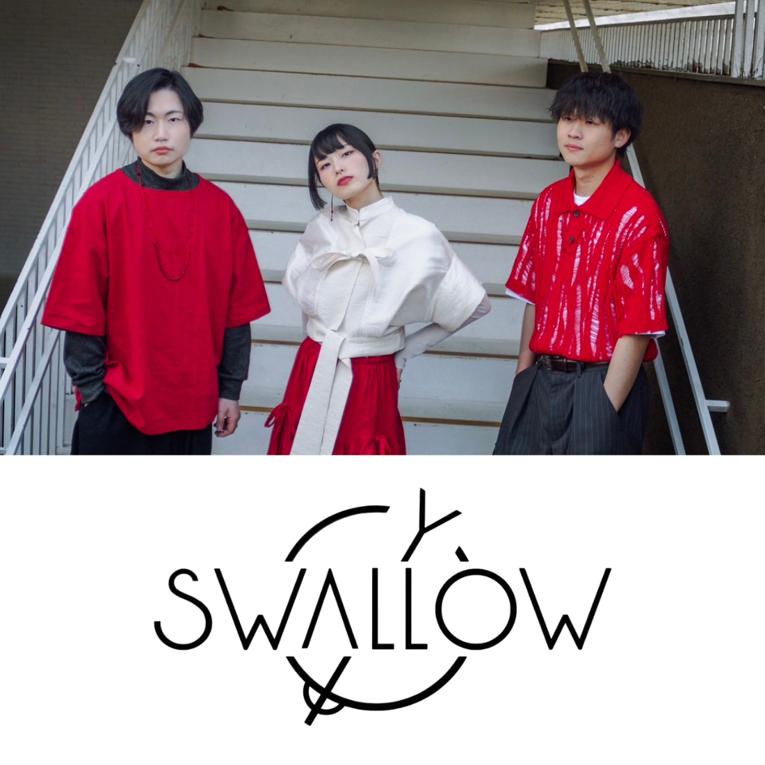 SWALLOW