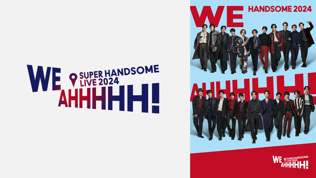 チーム・ハンサム!(LIVEカラオケ/本人歌唱)